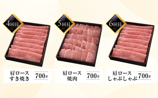 【定期便 6回】高級 飛騨牛食べ比べ 定期便 6カ月 毎月 【冷蔵配送】 定期 贈答 ギフト 牛肉 焼き肉 牛 下呂 焼肉 ブランド牛 下呂魚介 焼き肉　すき焼　しゃぶしゃぶ ステーキ サーロイン 肩ロース 霜降り