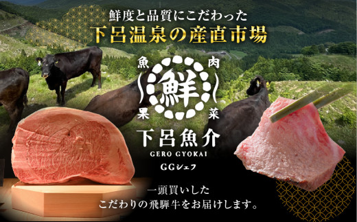 【定期便 6回】高級 飛騨牛食べ比べ 定期便 6カ月 毎月 【冷蔵配送】 定期 贈答 ギフト 牛肉 焼き肉 牛 下呂 焼肉 ブランド牛 下呂魚介 焼き肉　すき焼　しゃぶしゃぶ ステーキ サーロイン 肩ロース 霜降り