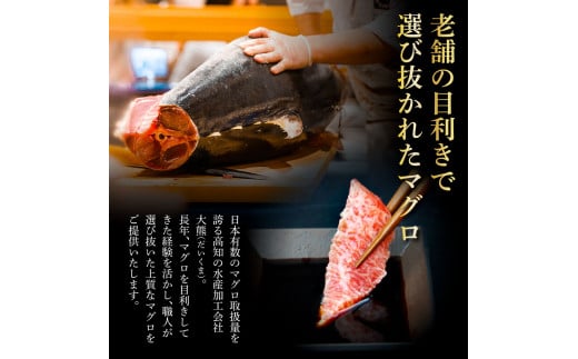 本鮪　大トロ200g マグロ まぐろ 本まぐろ 刺身 刺し身 魚 海鮮 冷凍 美味しい おいしい 故郷納税 ふるさとのうぜい 返礼品 高知県 高知