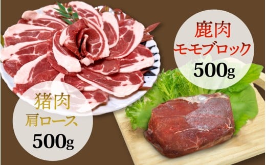 能登・穴水産 天然 猪肩ロース ＆ 鹿モモブロック 各500g  計1kg | 奥能登 能登半島 ジビエ いのしし お肉 しか肉 1キロ ロース ブロック肉 国産 冷凍配送 料理