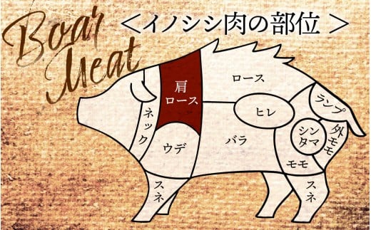 能登・穴水産 天然 猪肩ロース ＆ 鹿モモブロック 各500g  計1kg | 奥能登 能登半島 ジビエ いのしし お肉 しか肉 1キロ ロース ブロック肉 国産 冷凍配送 料理