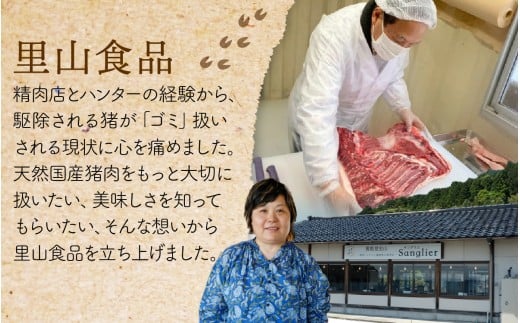 能登・穴水産 天然 猪肩ロース ＆ 鹿モモブロック 各500g  計1kg | 奥能登 能登半島 ジビエ いのしし お肉 しか肉 1キロ ロース ブロック肉 国産 冷凍配送 料理