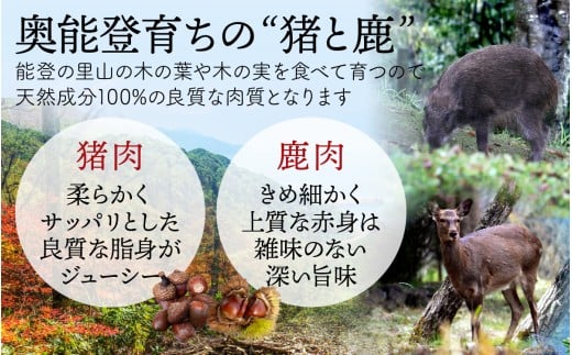 能登・穴水産 天然 猪肩ロース ＆ 鹿モモブロック 各500g  計1kg | 奥能登 能登半島 ジビエ いのしし お肉 しか肉 1キロ ロース ブロック肉 国産 冷凍配送 料理