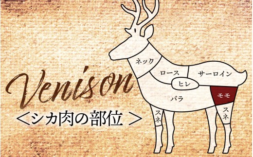 能登・穴水産 天然 猪肩ロース ＆ 鹿モモブロック 各500g  計1kg | 奥能登 能登半島 ジビエ いのしし お肉 しか肉 1キロ ロース ブロック肉 国産 冷凍配送 料理