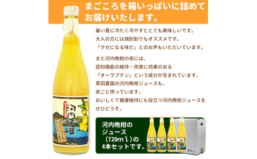 黒田農園直送　西宇和産河内晩柑ジュース詰め合わせ4本セット