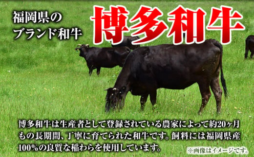 博多和牛 切り落とし 1.2kg《90日以内に出荷予定(土日祝除く)》 株式会社POWER EAST CONNECTION 和牛 牛肉 小分け カレー 切り落し