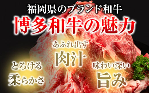 博多和牛 切り落とし 1.2kg《90日以内に出荷予定(土日祝除く)》 株式会社POWER EAST CONNECTION 和牛 牛肉 小分け カレー 切り落し