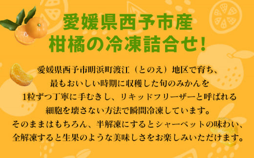 ＜【訳あり】冷凍みきゃんセット みきゃん盛り（皮付き10個・皮無し3個）＞ ミカン 温州みかん 柑橘 果物 フルーツ デザート 詰合せ 特産品 渡江から一歩を踏み出す会 食べて応援 愛媛県 西予市【冷凍】