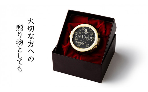 キャビア 詰め合わせ セット 20g×3個 キャビア  高級食材  記念日 誕生日 世界三大珍味 国産キャビア 茨城県産 茨城 [AI001sa]