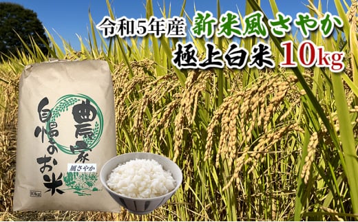 【農家直送/令和6年産新米】長野県産「風さやか」（10kg）【栄屋ファーム】[№5659-1496]