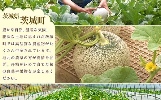 002茨城県産いちご「とちおとめ」1.12kg（4パック）【2025年1月中旬頃～3月下旬頃発送予定】