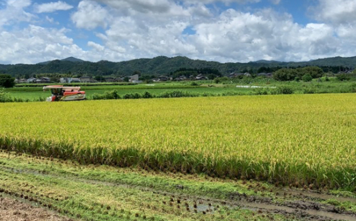 山県市産 コシヒカリ 10kg（5kg×2袋）（白米） [No.800] ／ お米 ブランド米 優良水田 岐阜県 特産品