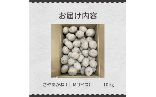 【先行予約】【2024年12月より配送】北海道十勝芽室町 さやあかね L-Mサイズ 10kg me049-003c-24