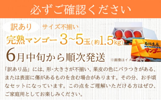 【2025年6月中旬から順次発送】【訳あり】選べる数量　サイズ不揃い　3～5玉(1.5kg)　訳あり品　マンゴー KP-27