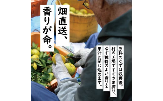 【年内発送】 ゆずの村ぽん酢スティックタイプ 20ml×24袋 弁当 調味料 小袋 小分け 個包装 ゆず 柚子 お歳暮 お中元 ゆずポン酢 ドレッシング 有機 オーガニック 産地直送 ギフト 熨斗 のし 高知県 馬路村