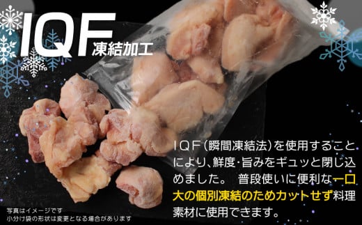 小分けで便利［250g×10袋］若鳥もも肉 個別凍結 宮崎県産【B567】