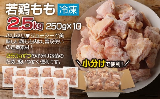 小分けで便利［250g×10袋］若鳥もも肉 個別凍結 宮崎県産【B567】