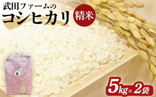 【令和6年産】武田ファーム コシヒカリ　精米5kg×2袋