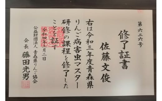 【2024年12月中旬発送】 【訳あり】 りんご サンふじ 5kg 青森