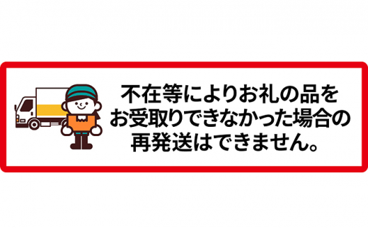 新篠津産　旬の厳選定期便B　【4ヶ月連続お届け】