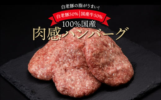 国産100％白老合挽ハンバーグ150g×24 国産ハンバーグ 牛肉 豚肉 あいびき 洋食 肉料理 惣菜 冷凍 白老 ふるさと納税 北海道