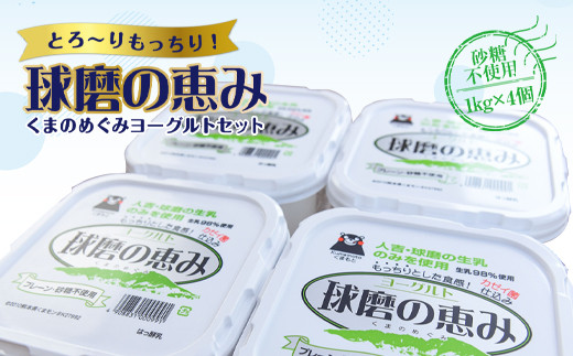 【父の日用】ヨーグル党総選挙　ム党の部　第2位受賞！球磨の恵みヨーグルトセット(砂糖不使用1kg×4個)