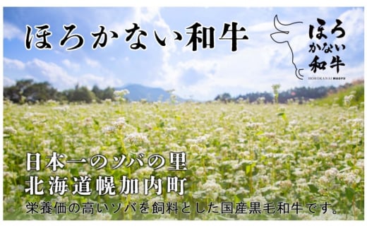 [№5795-0401]北海道 ほろかない和牛すき焼き用 肩ロース 400g 黒毛 和牛 牛肉 肉 国産 ブランド牛すき焼き 甘い サシ 贅沢 ギフト 贈答 お中元 お歳暮 お取り寄せ 市村ファーム 送料無料