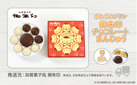 饅頭 和菓子 洋菓子 チョコ菓子【ポムポムプリン】御朱印チョコレートまんじゅう ９個入り