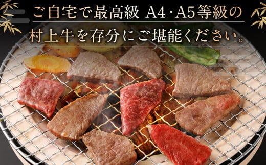 【赤身と霜降りミックス】村上牛 焼肉 500g×1パック 約2～3人前 厚めにカット 生産者直送 にいがた和牛 santaふぁーむ [B4001]