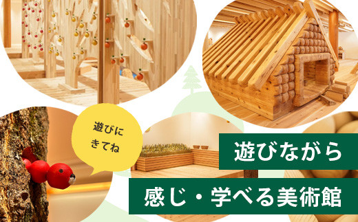 【1年間パスポート】那賀町山のおもちゃ美術館【子供1名（小学生～中学生）】 おもちゃ美術館 おもちゃ 美術館 年間パスポート 入場券 知育 木育 遊べる美術館 体験 体験型 こども 子供 子ども 親子 遊び場 木 柚子 茶葉 那賀町 林業 森林 自然 魅力 温もり CA-2