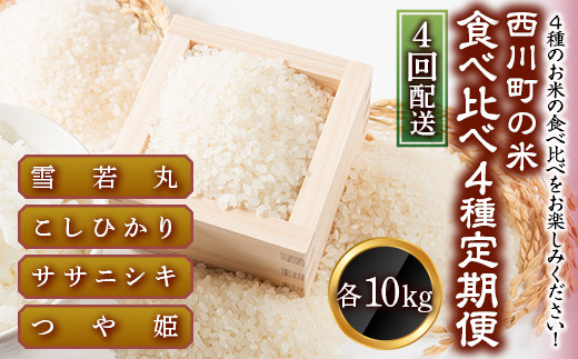 FYN9-427 【定期便4回】 山形県西川町のお米 食べ比べセット 各10kg 食べ比べ 食べくらべ 