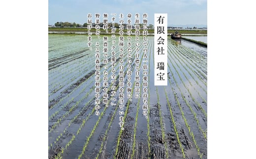 令和6年産 新米 中泊産 こだわりの有機米 （五分づき） 5kg ＜有機JAS認証＞ 【瑞宝(中里町自然農法研究会)】 自然純米 有機JAS認定 有機米 米 こめ コメ お米 ぶづき米 ぶつき米 精米 津軽 無農薬 自然農法 農薬不使用 オーガニック 青森 中泊町 F6N-046