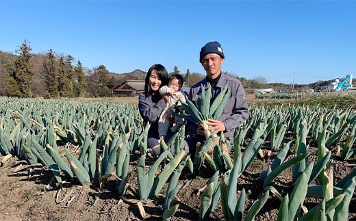 伝統栽培の下仁田ねぎ。寒い冬に最高のすき焼きを♪（LL 14本） とろける 甘い ねぎ ネギ 王様ねぎ 殿様ねぎ 特産 栄養たっぷり ブランド 上州ねぎ すきやき F21K-334