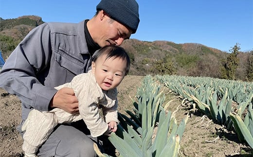 伝統栽培の下仁田ねぎ。寒い冬に最高のすき焼きを♪（LL 14本） とろける 甘い ねぎ ネギ 王様ねぎ 殿様ねぎ 特産 栄養たっぷり ブランド 上州ねぎ すきやき F21K-334