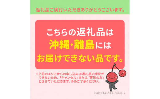 先行予約 農園厳選 さくらんぼ 南陽 2Lサイズ 以上600g（品質： ギフト 向け）