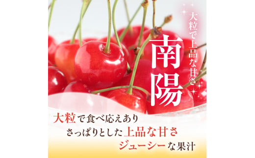 先行予約 農園厳選 さくらんぼ 南陽 2Lサイズ 以上600g（品質： ギフト 向け）