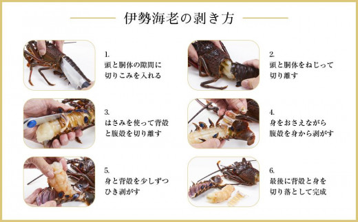 冷凍 伊勢海老1尾（約300ｇ前後）真空パック 南紀黒潮イセエビ 通年発送｜期間限定 漁師直送 海鮮 海老 とれたて 人気