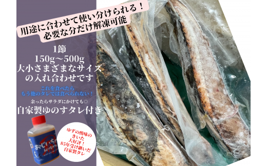 【四国一小さなまち】 ≪期間・数量限定≫  ★訳あり★  高知県産カツオのわら焼きタタキ（自家製タレ付）１ｋｇ