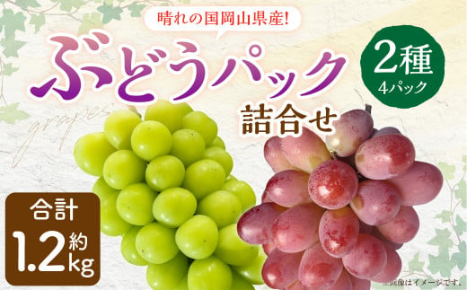 岡山県産 ぶどう パック詰合せ ※2種4パックセット 【2024年11月上旬～11月下旬発送予定】