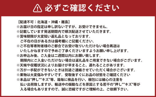 岡山県産 ぶどう パック詰合せ ※2種4パックセット 【2024年11月上旬～11月下旬発送予定】