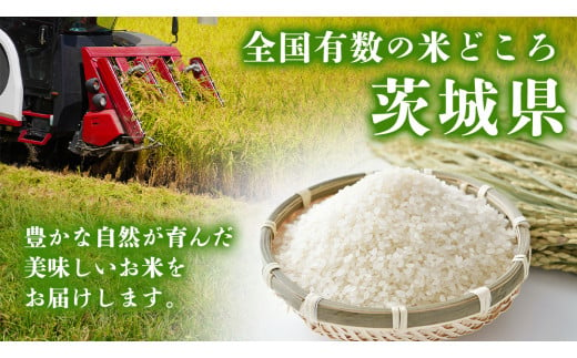 【 受付再開 / 3月下旬出荷分】《 令和6年産 》茨城県産 コシヒカリ20kg (5kg×4袋） こしひかり 米 コメ こめ 単一米 限定 茨城県産 国産 美味しい お米