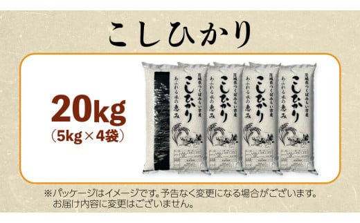 【 受付再開 / 3月下旬出荷分】《 令和6年産 》茨城県産 コシヒカリ20kg (5kg×4袋） こしひかり 米 コメ こめ 単一米 限定 茨城県産 国産 美味しい お米