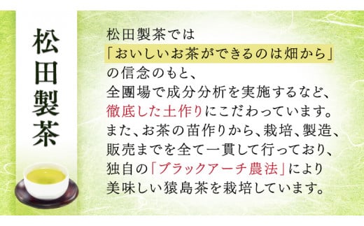 お徳用 猿島茶 ティーバッグ 6袋セット 【茨城県共通返礼品／八千代町】 お徳用 さしま茶 松田製茶 [DV005sa]