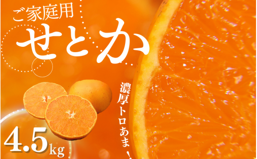 ご家庭用 たにぐち農園のせとか 4.5kg 大小混合【2025年3月から4月上旬までに順次発送】 / 家庭用 ご家庭用 せとか みかん 蜜柑 サイズ 不揃い
