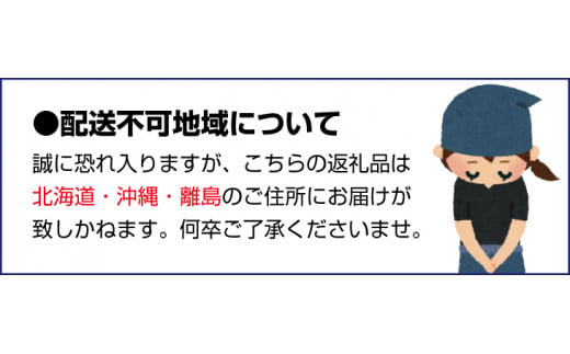 ご家庭用 たにぐち農園のせとか 4.5kg 大小混合【2025年3月から4月上旬までに順次発送】 / 家庭用 ご家庭用 せとか みかん 蜜柑 サイズ 不揃い
