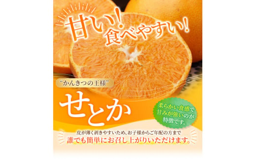 ご家庭用 たにぐち農園のせとか 4.5kg 大小混合【2025年3月から4月上旬までに順次発送】 / 家庭用 ご家庭用 せとか みかん 蜜柑 サイズ 不揃い
