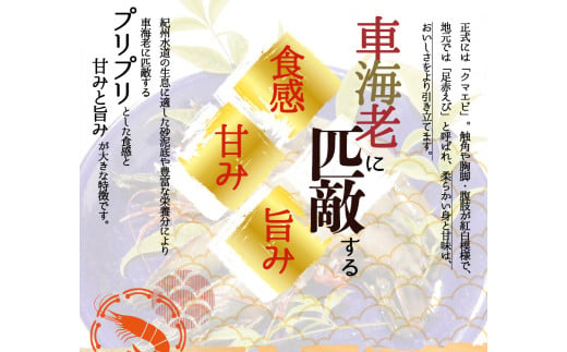 紀州和歌山産天然足赤えび540g（270g×2パック）化粧箱入 ※2024年11月上旬頃〜2025年2月上旬頃順次発送予定（お届け日指定不可）／海老 エビ えび クマエビ 足赤 天然 おかず【uot772A】