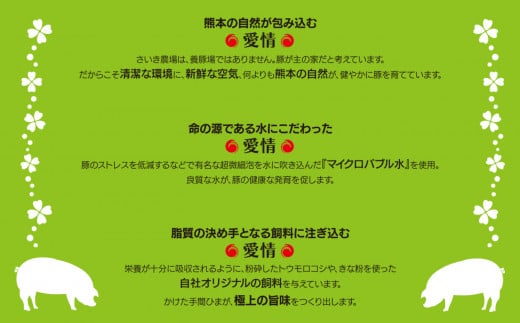 火の本豚 豚バラ ブロック 角煮用 1kg（500g×2パック） | 熊本県 和水町 くまもと なごみまち 豚肉 肉 豚バラ ブロック ブロック肉 ブランド肉 地域ブランド 火の本豚 500g 2パック 1000g