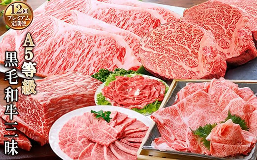 定期便(12回)鹿児島県産A5等級黒毛和牛三昧 JJ-0017_ 肉 お肉 牛肉 霜降り シャトーブリアン 赤身 ブロック 切り落とし サーロイン ステーキ 焼肉 すき焼き すきやき しゃぶしゃぶ 人気 送料無料 【1166761】