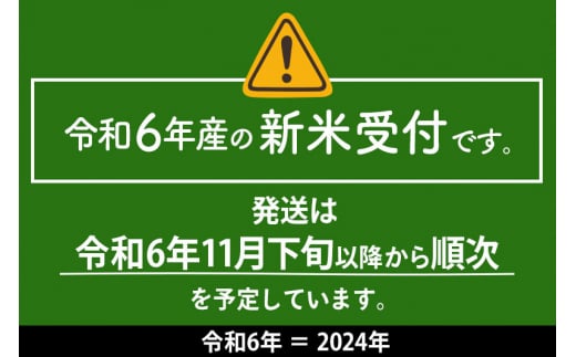 【玄米】＜令和6年産 新米予約＞《定期便9ヶ月》おばこの匠 秋田県産あきたこまち 20kg×9回 計180kg 9か月 9ヵ月 9カ月 9ケ月 秋田こまち お米